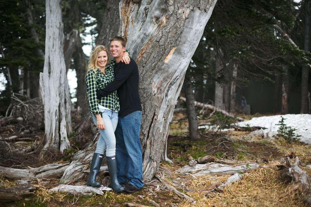 Olympic National Forest Engagement Photos, Hurricane Ridge Engagement Photos, Washington Engagement Photographer, Olympic National Park engagement photos, Washington wedding photographer, Best photographers in Washington, Best Washington engagement photographers, Best Washington Wedding photographers, Fun Engagement photo ideas, Engagement photos in mountains, adventurous Engagement session, Save the date photo ideas, Olympic National Park Hurricane Ridge, Olympic National Park Engagement Photographer, adventure elopement photographer