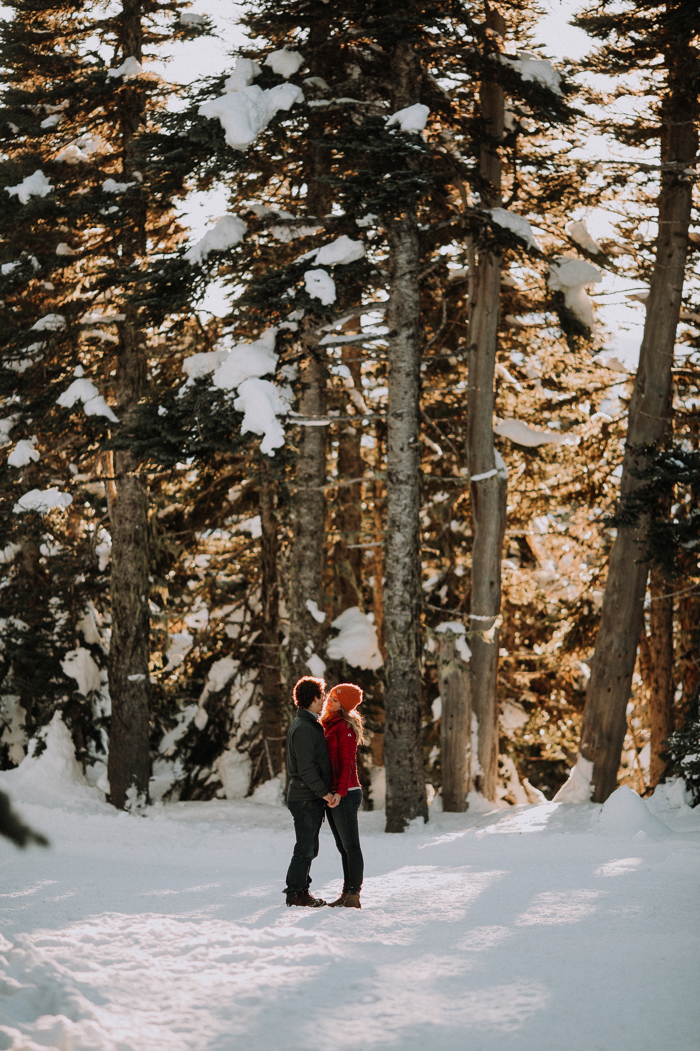 Olympic National Forest Engagement Photos, Hurricane Ridge Engagement Photos, Washington Engagement Photographer, Olympic National Park engagement photos, Washington wedding photographer, Best photographers in Washington, Best Washington engagement photographers, Best Washington Wedding photographers, Fun Engagement photo ideas, Engagement photos in mountains, adventurous Engagement session, Save the date photo ideas, Olympic National Park Hurricane Ridge, Olympic National Park Engagement Photographer, adventure elopement photographer