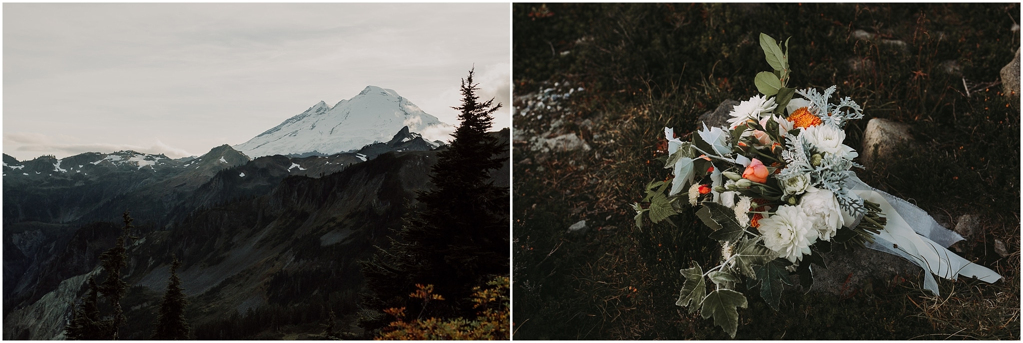 mt shuksan mt baker elopement kim butler