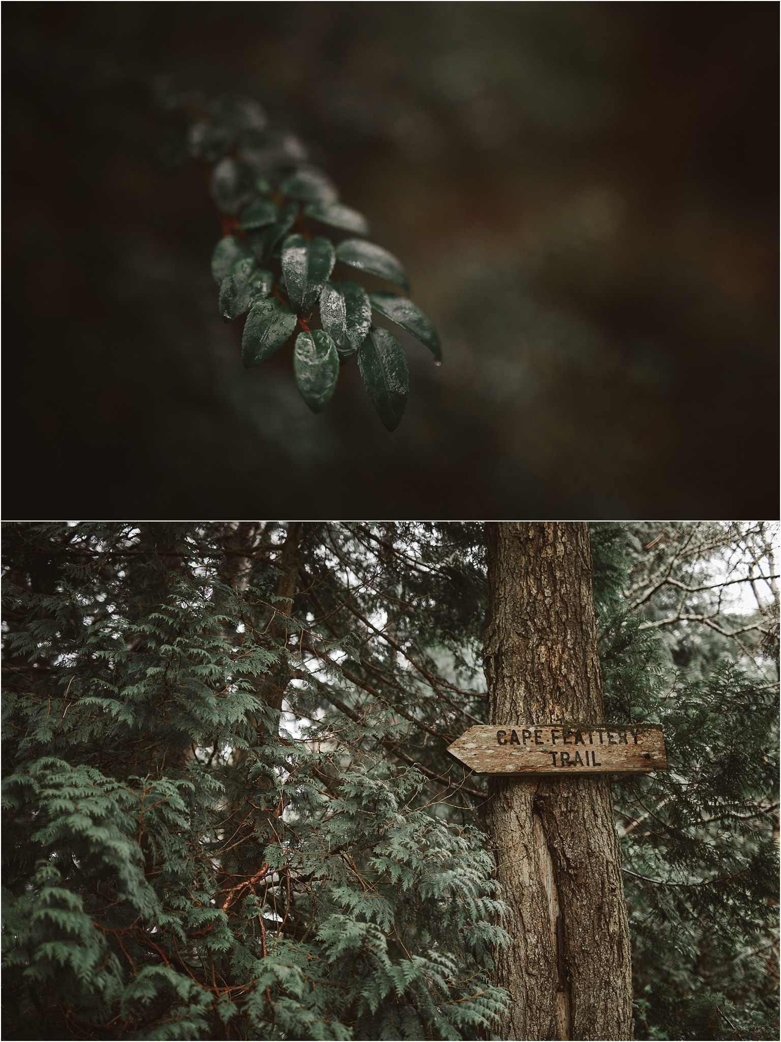 cape-flattery-olympic-peninsula-adventure-elopement-kim-butler-photography