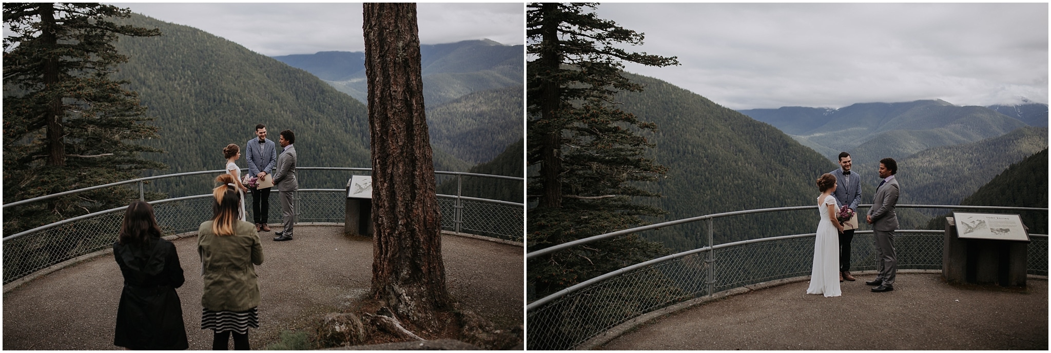 Hurricane Ridge and Olympic National Park elopement kim butler