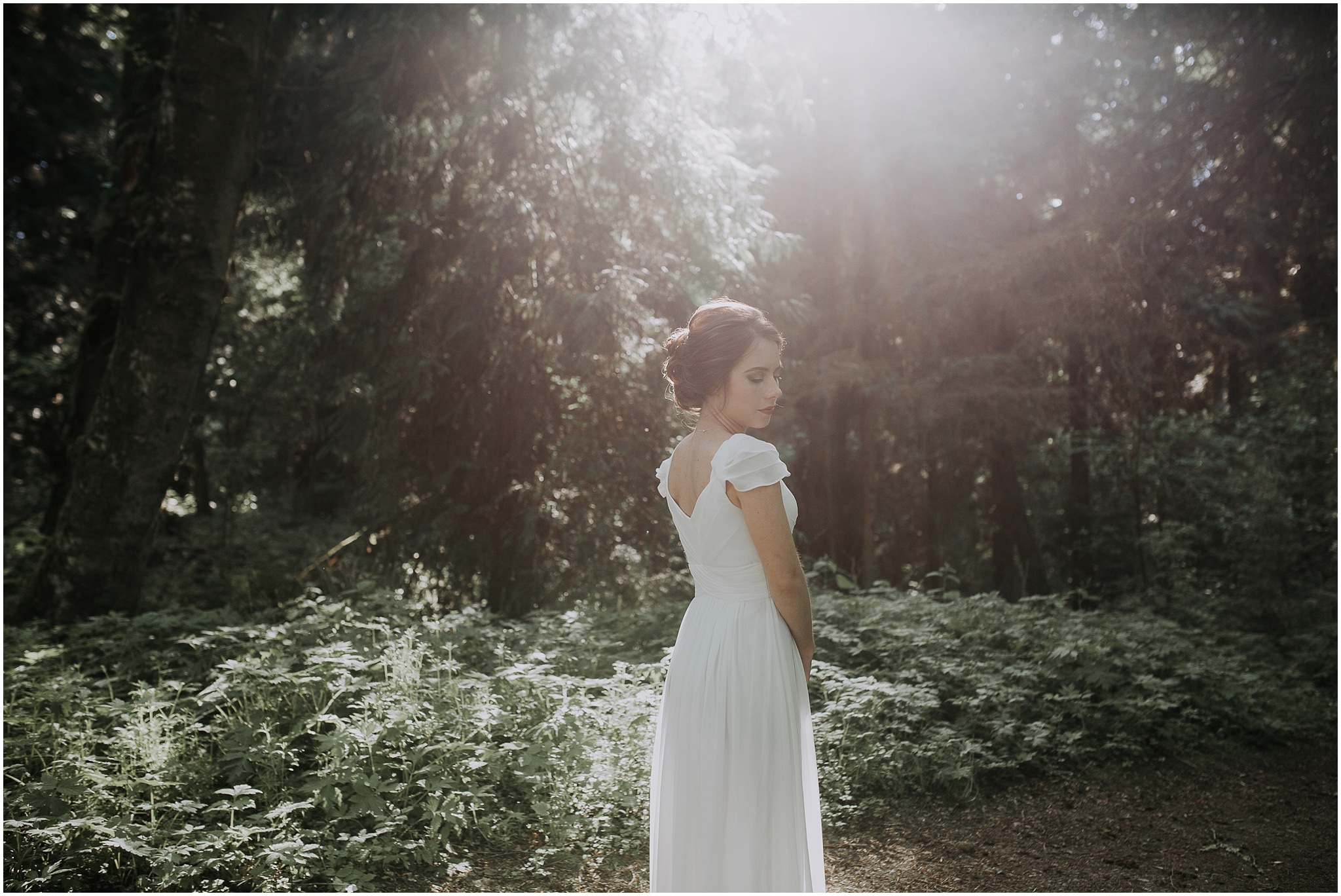 Hurricane Ridge and Olympic National Park elopement kim butler