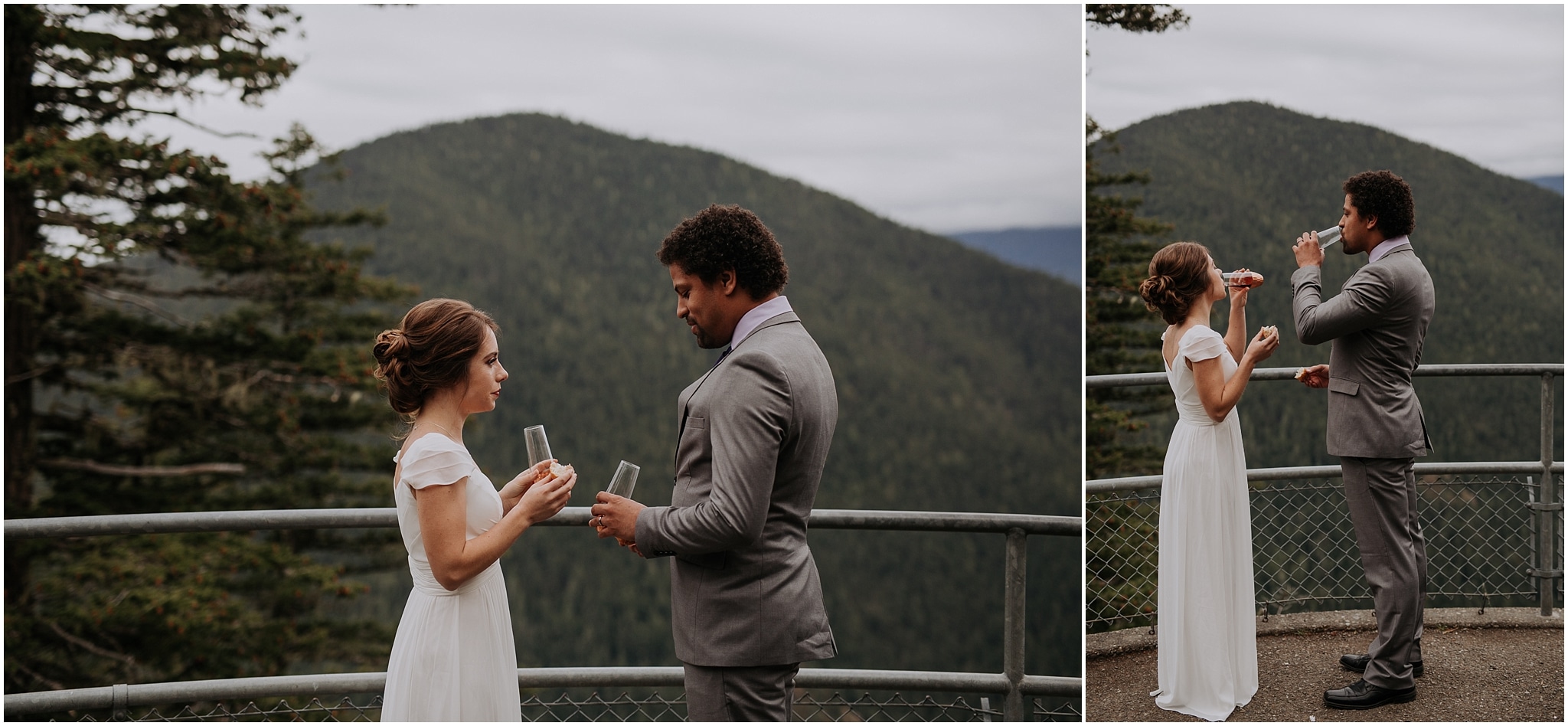 Hurricane Ridge and Olympic National Park elopement kim butler