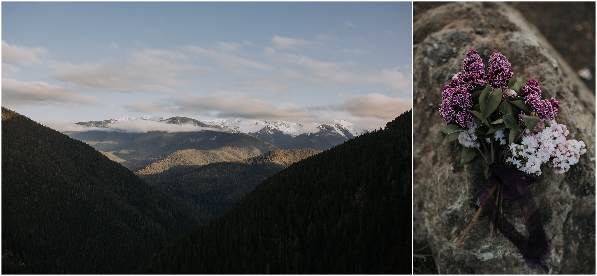 Hurricane Ridge and Olympic National Park elopement kim butler