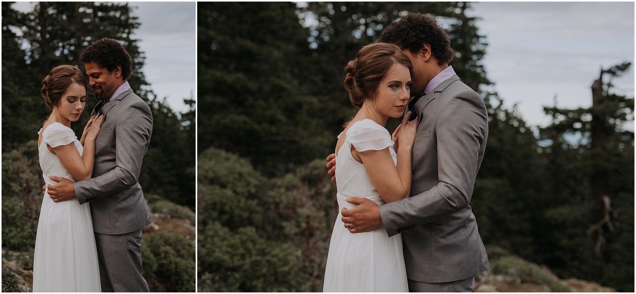 Hurricane Ridge and Olympic National Park elopement kim butler