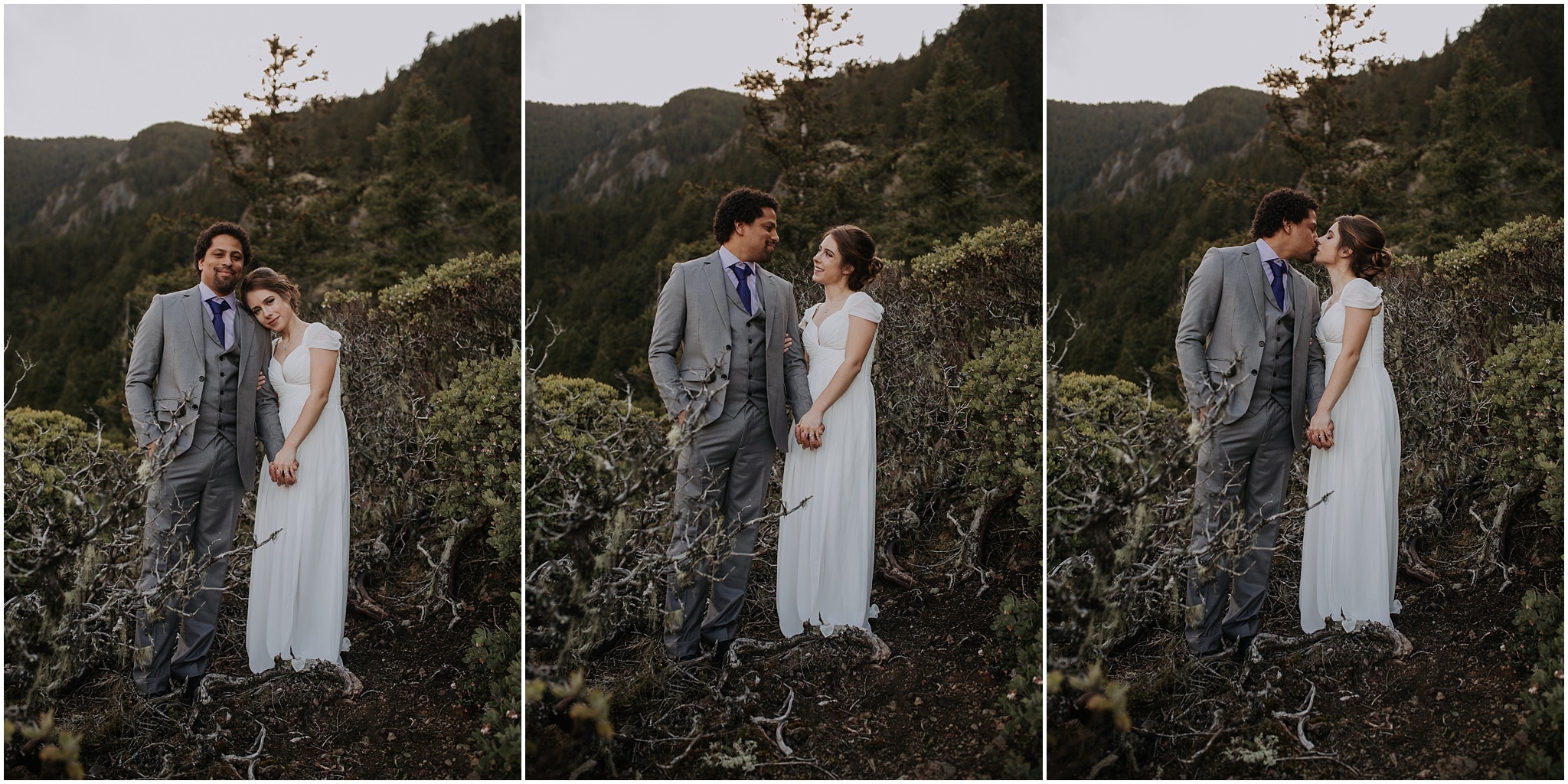 Hurricane Ridge and Olympic National Park elopement kim butler