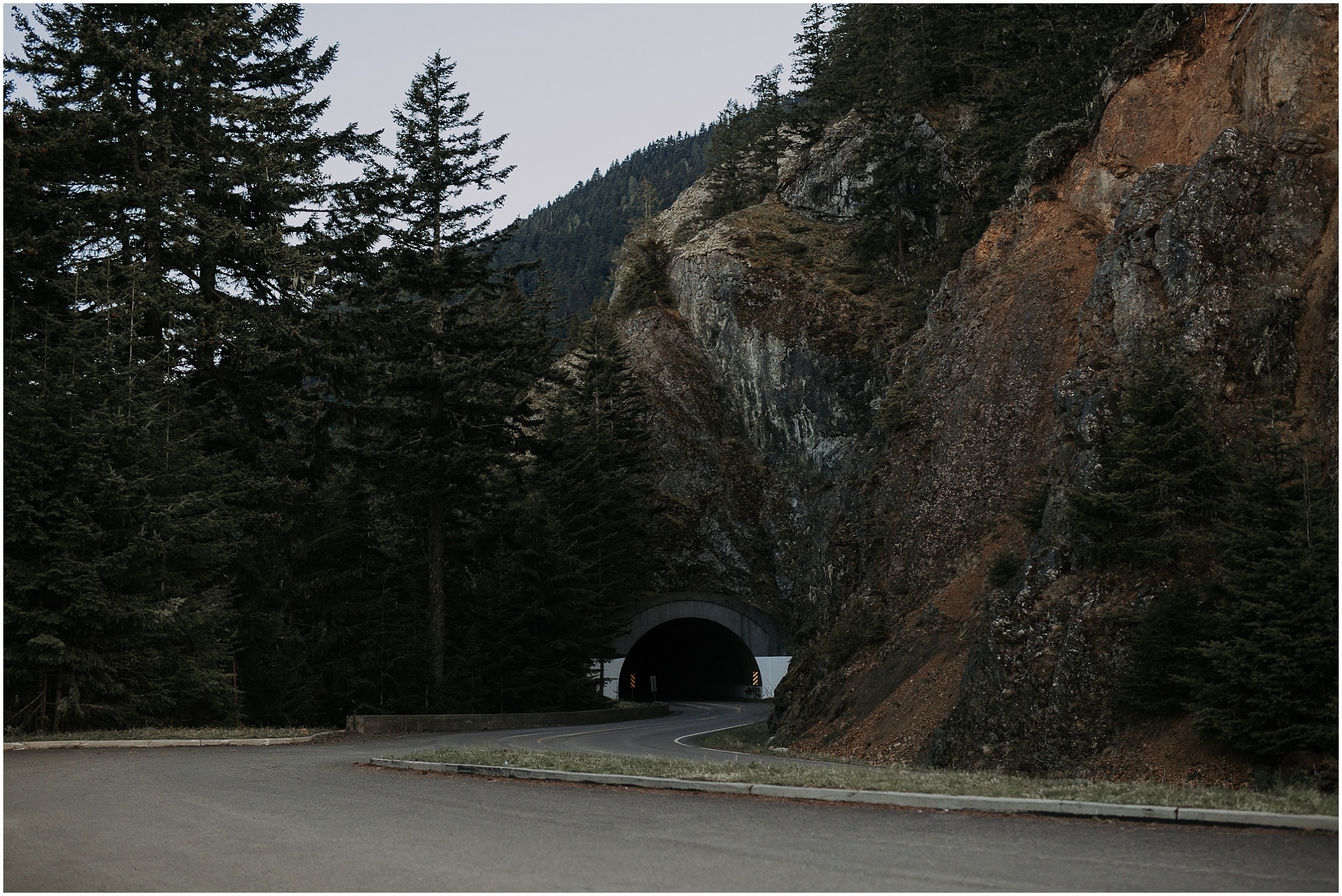 Hurricane Ridge and Olympic National Park elopement kim butler