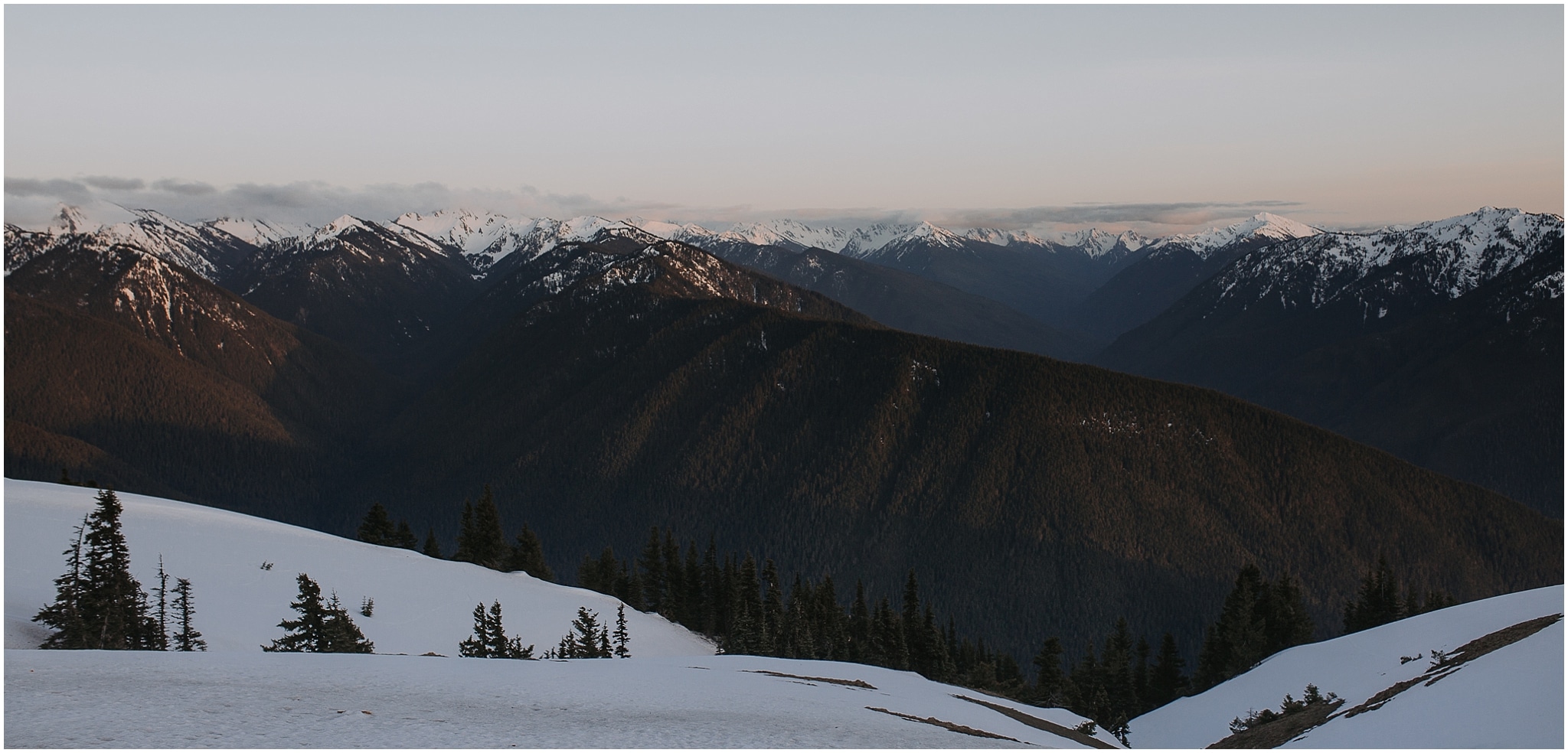 Hurricane Ridge and Olympic National Park elopement kim butler