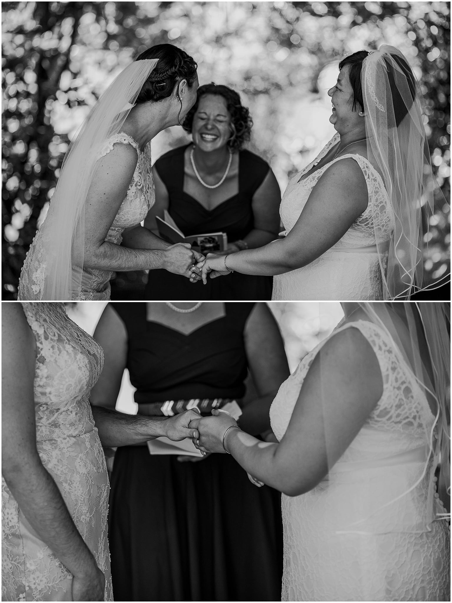 albees garden, LGBT, wedding, olympia, kim butler