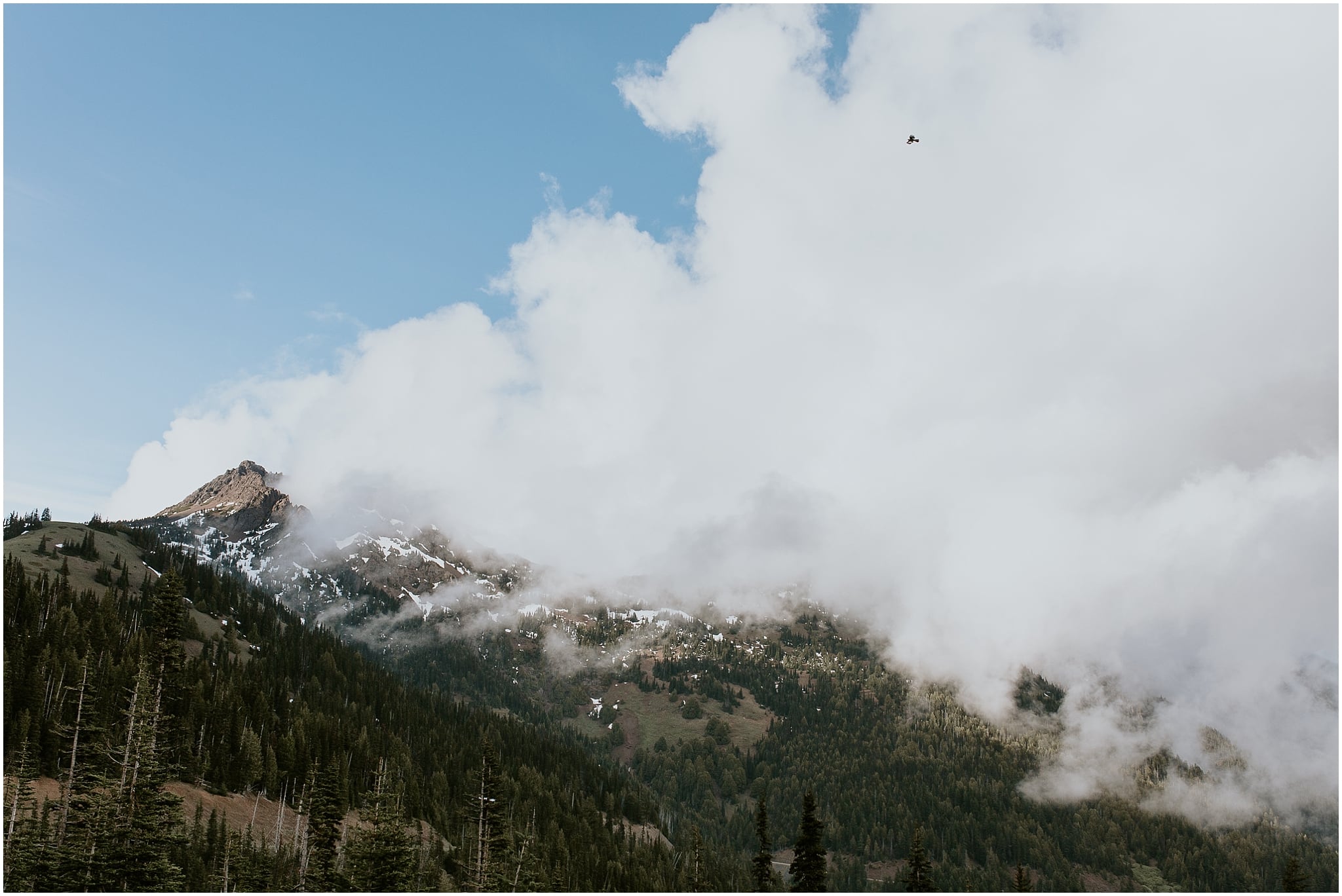 hurricane ridge, olympic national park, engagement, kim butler