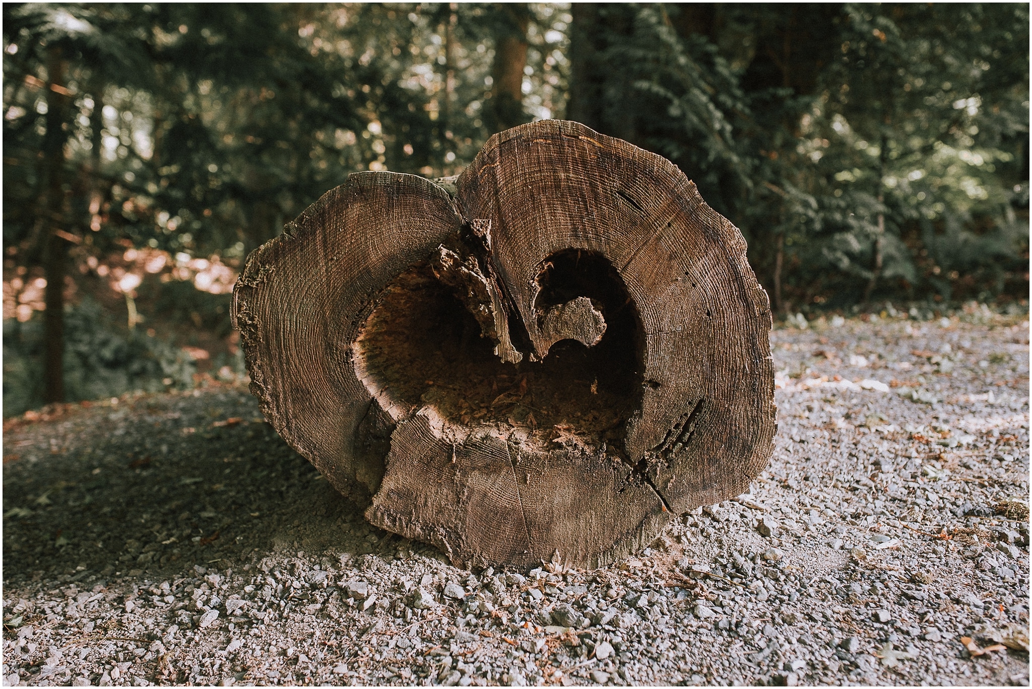 Scenic Beach state park, Seabeck, Elopement, olympic peninsula