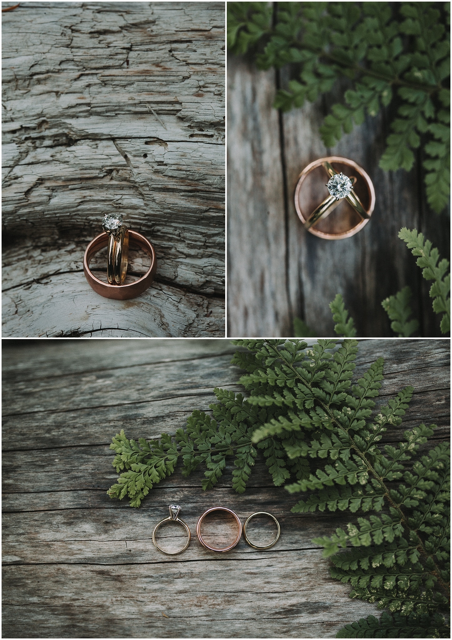 Scenic Beach state park, Seabeck, Elopement, olympic peninsula