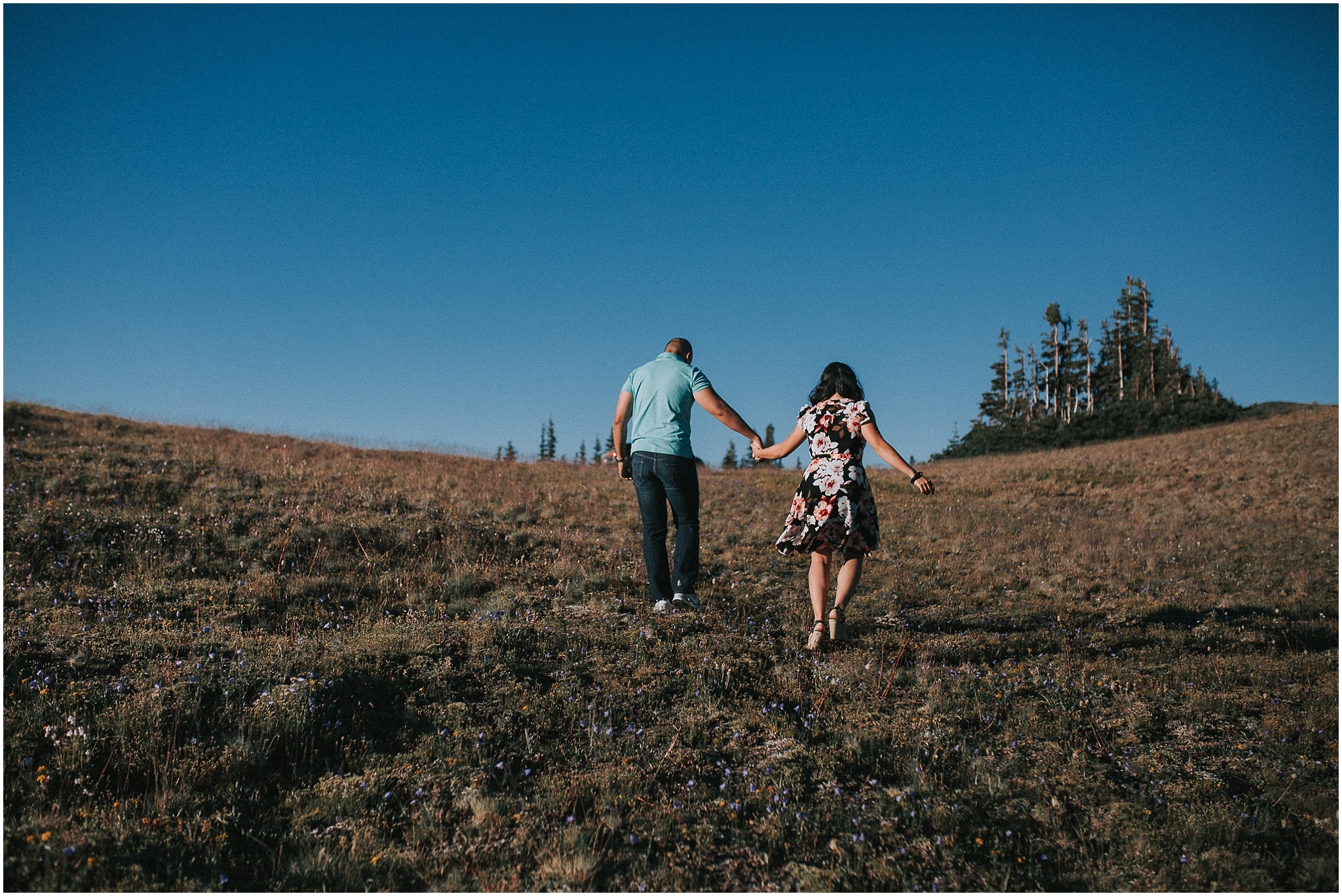 Olympic National Forest Engagement Photos, Hurricane Ridge Engagement Photos, Western Washington Engagement Photographer, Olympic National Park engagement photos, Washington wedding photographer, Best photographers in Washington, Best Washington engagement photographers, Best Washington elopement photographers, olympic national park elopement photographer, Engagement photos in mountains, adventurous Engagement session, Olympic National Park Hurricane Ridge, Olympic National Park Engagement Photographer, adventure elopement photographer