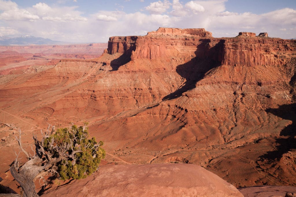 Deep valleys and high buttes cut out by the Colorado River in Canyonlands Utah