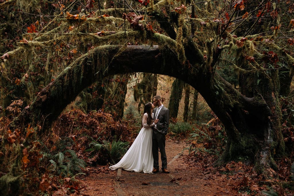 Elopement in the Hoh Rainforest in Olympic NP